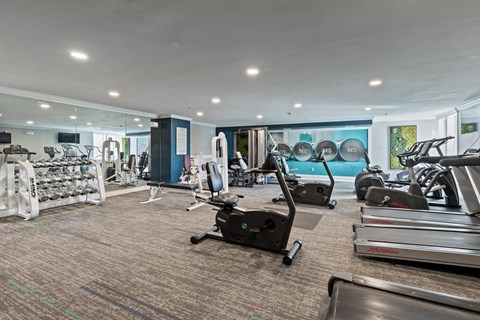 A gym with treadmills, elliptical machines, and other exercise equipment.