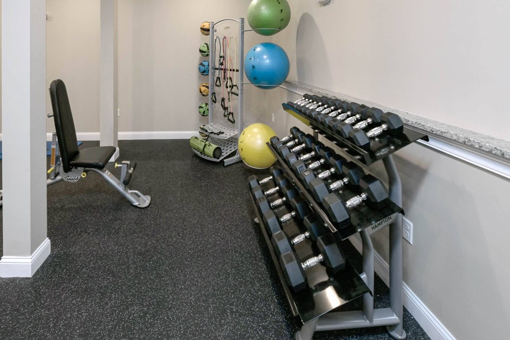A gym with a bench, weights, and a ball.