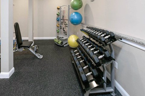 A gym with a bench, weights, and a ball.
