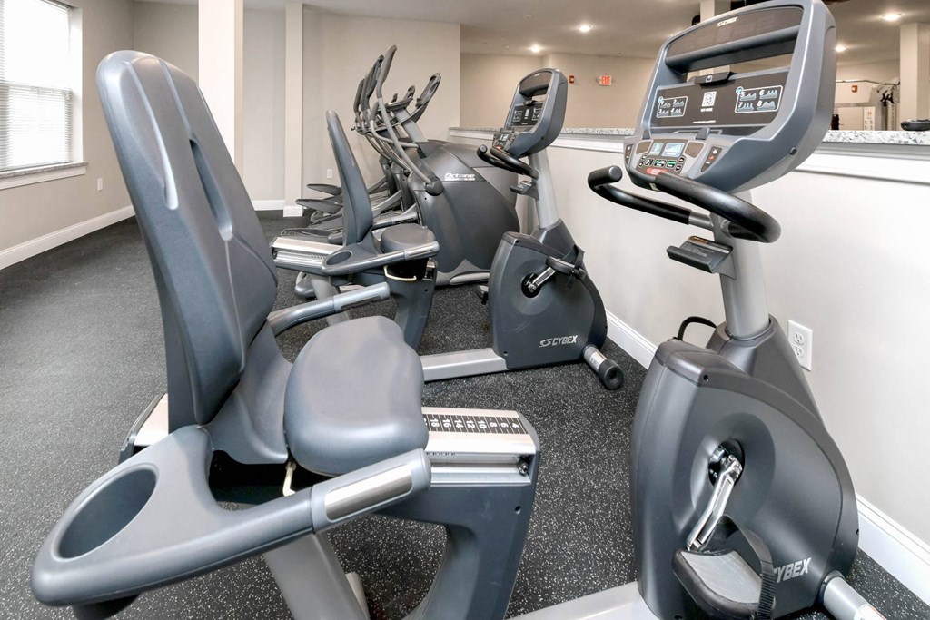 A gym with a row of exercise bikes and a treadmill.
