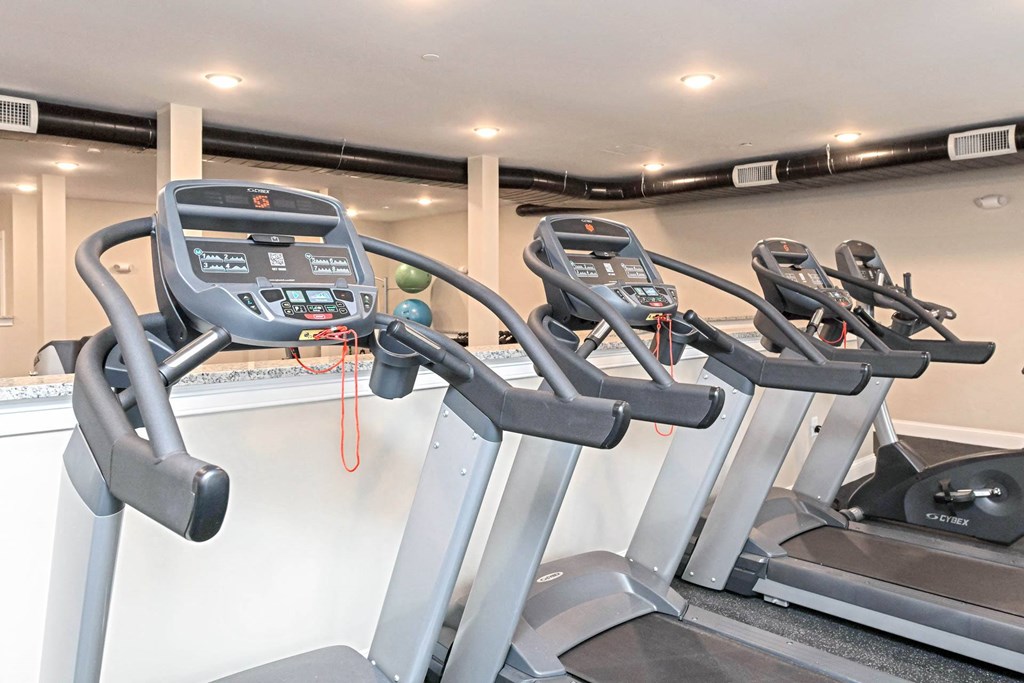 Three treadmills are lined up in a row.