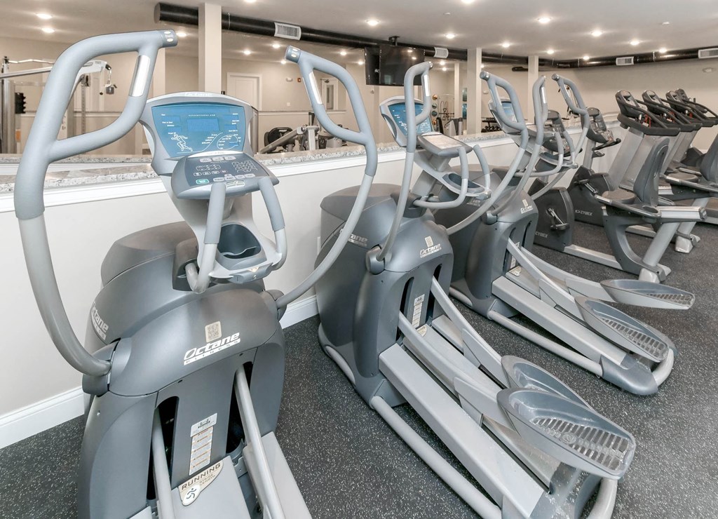 A gym with a row of exercise bikes.