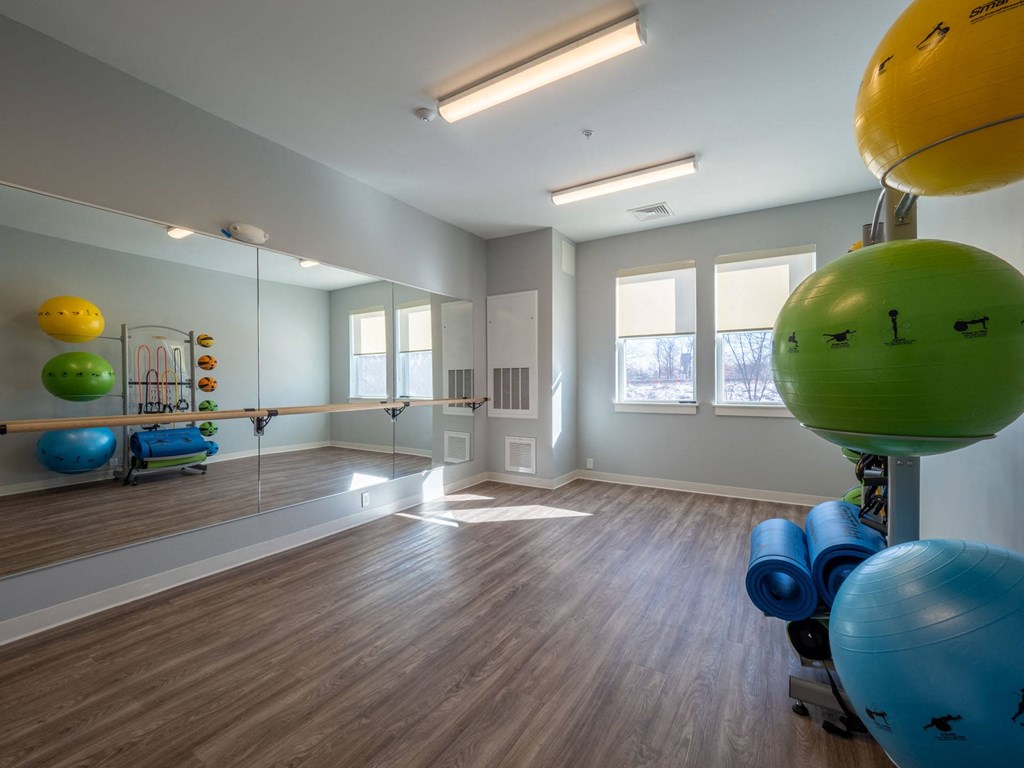 A tranquil yoga and exercise studio with natural light and fitness equipment.