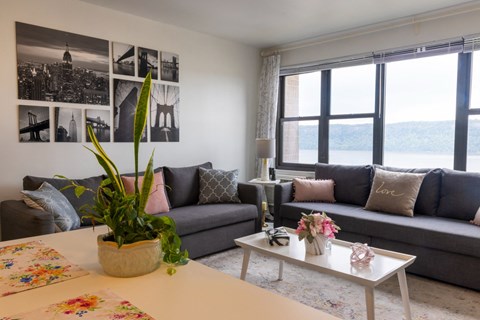 A living room with a grey couch, a coffee table, and a potted plant.