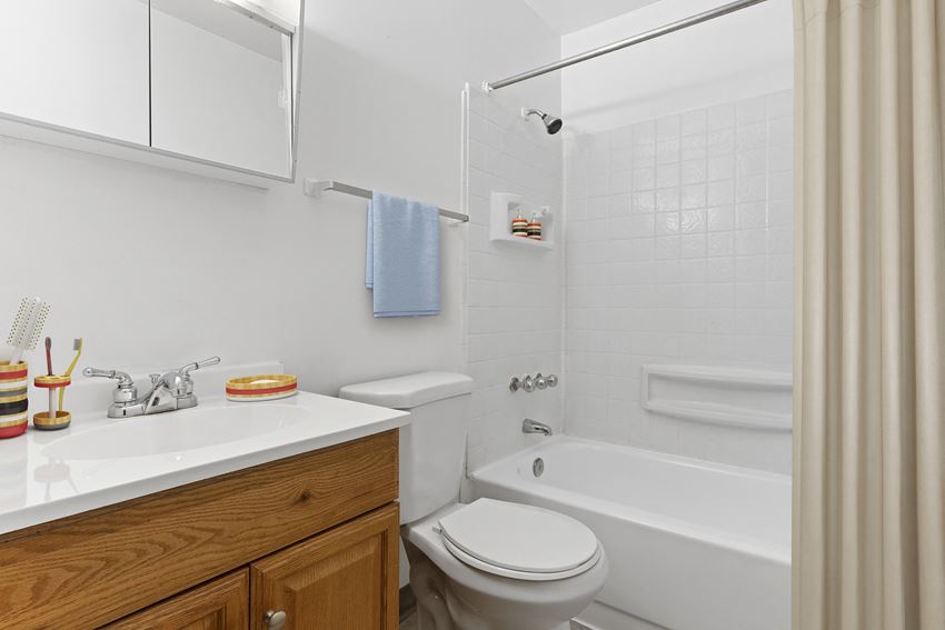 a bathroom with a sink toilet and bathtub