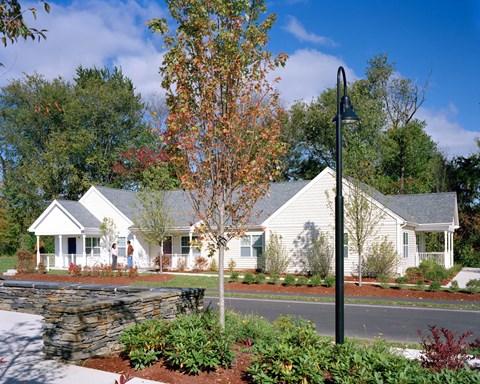 Building And Landscaped  Treehouse At Easthampton Meadow.