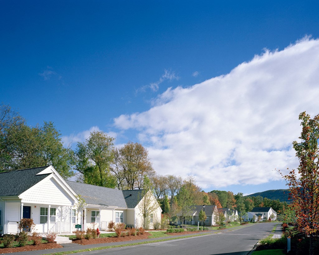 Streetview Building And Landscaped  Treehouse At Easthampton Meadow.
