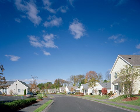 Streetview Building And Landscaped  Treehouse At Easthampton Meadow.