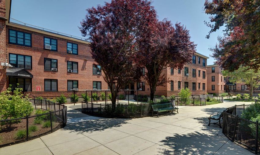 Landscaped Grounds Camden Street Apartments. - Photo Gallery