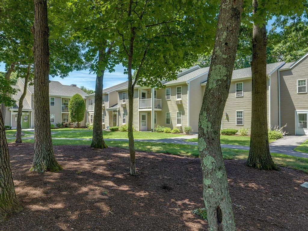Tree Lined Landscape  at Station Pointe Apartments,Massachusetts