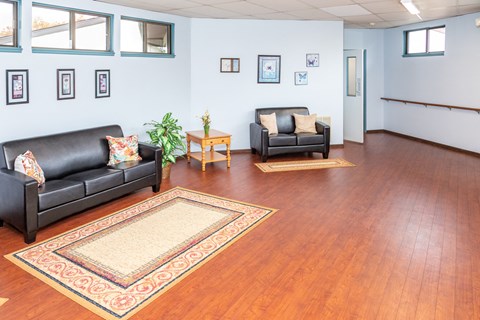 A living room with a black couch and a rug.