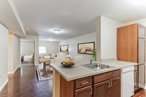 A kitchen with a white dishwasher and wooden cabinets.