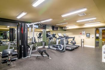 Fitness Center with Modern Equipment.