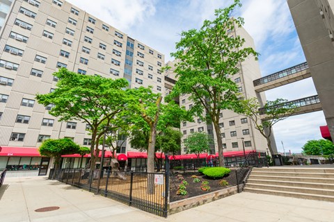A tree-lined courtyard in front of a large building at Tai Tung Village, Boston, MA 02111