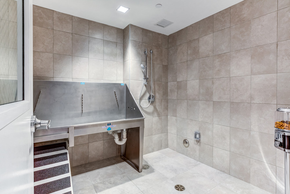 Pet Washing Station at North Square Apartments in Amherst, MA