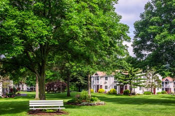 Outdoor Bench in Courtyard. - Photo Gallery 5
