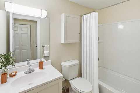 a bathroom with a sink toilet and a shower at Blue Hills Village, Canton, MA, 02021