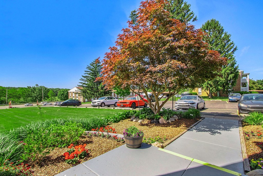 a tree in a garden next to a sidewalk