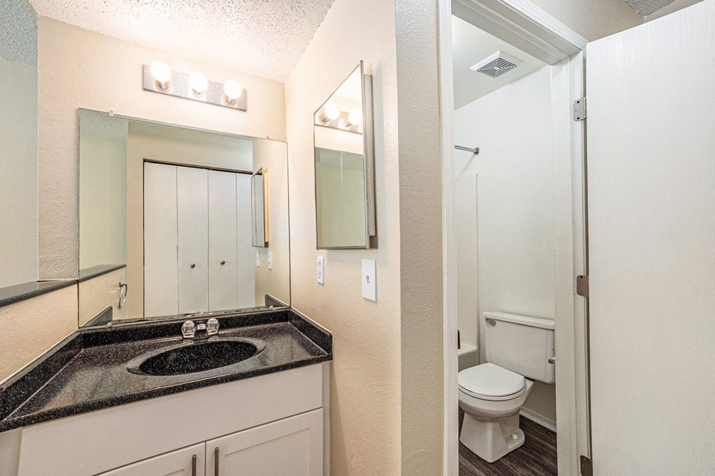 a bathroom with a sink and a toilet