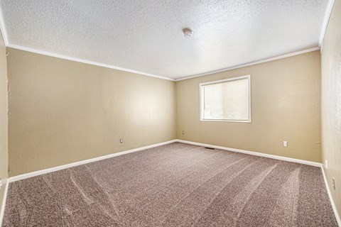 a bedroom with a carpeted floor and a window