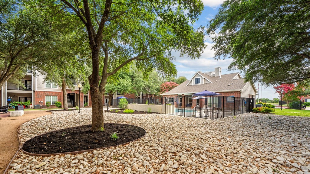 A tree in a circle of stones is the focal point of this image.