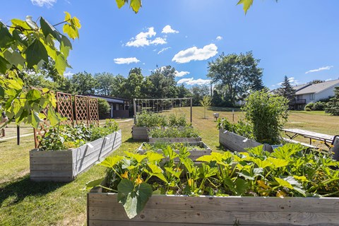 Community Garden