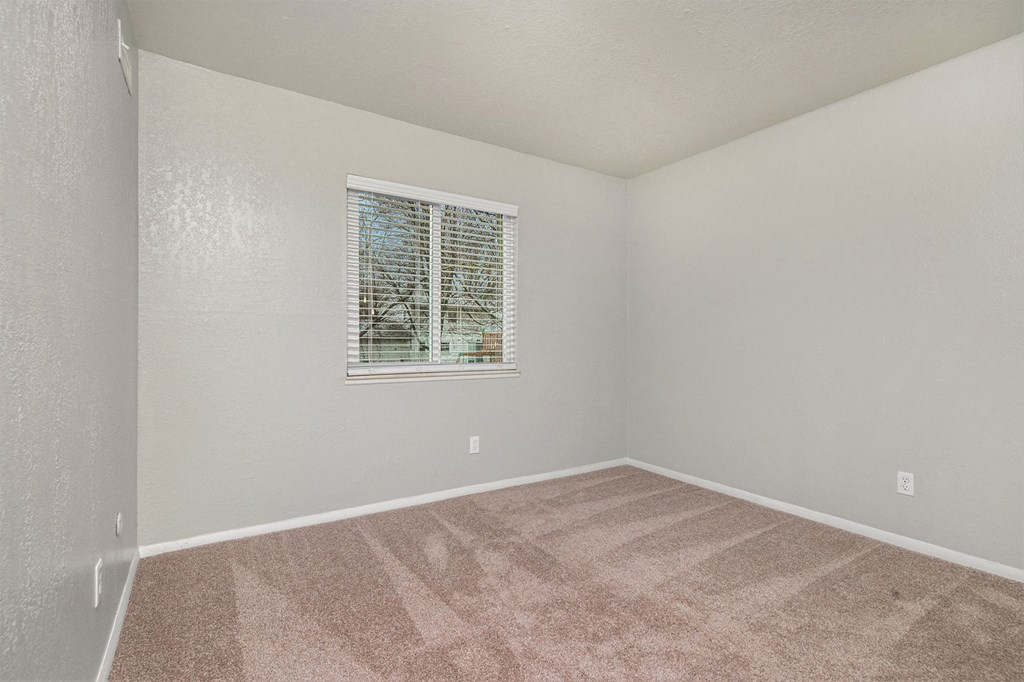 a bedroom with carpet and a window