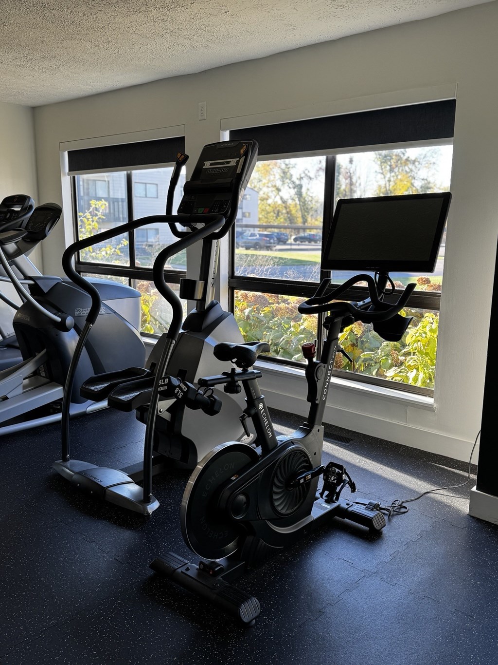 A row of stationary bikes are lined up in a gym.