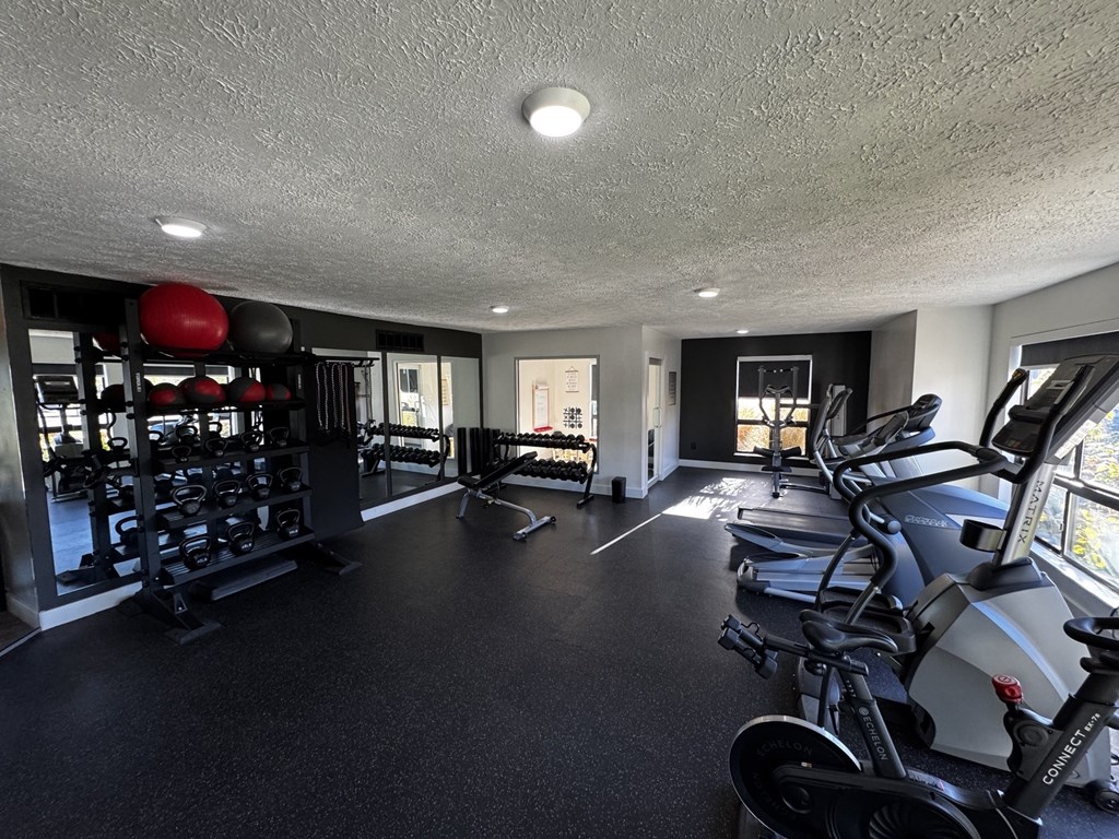 A gym with treadmills, weights, and exercise equipment.