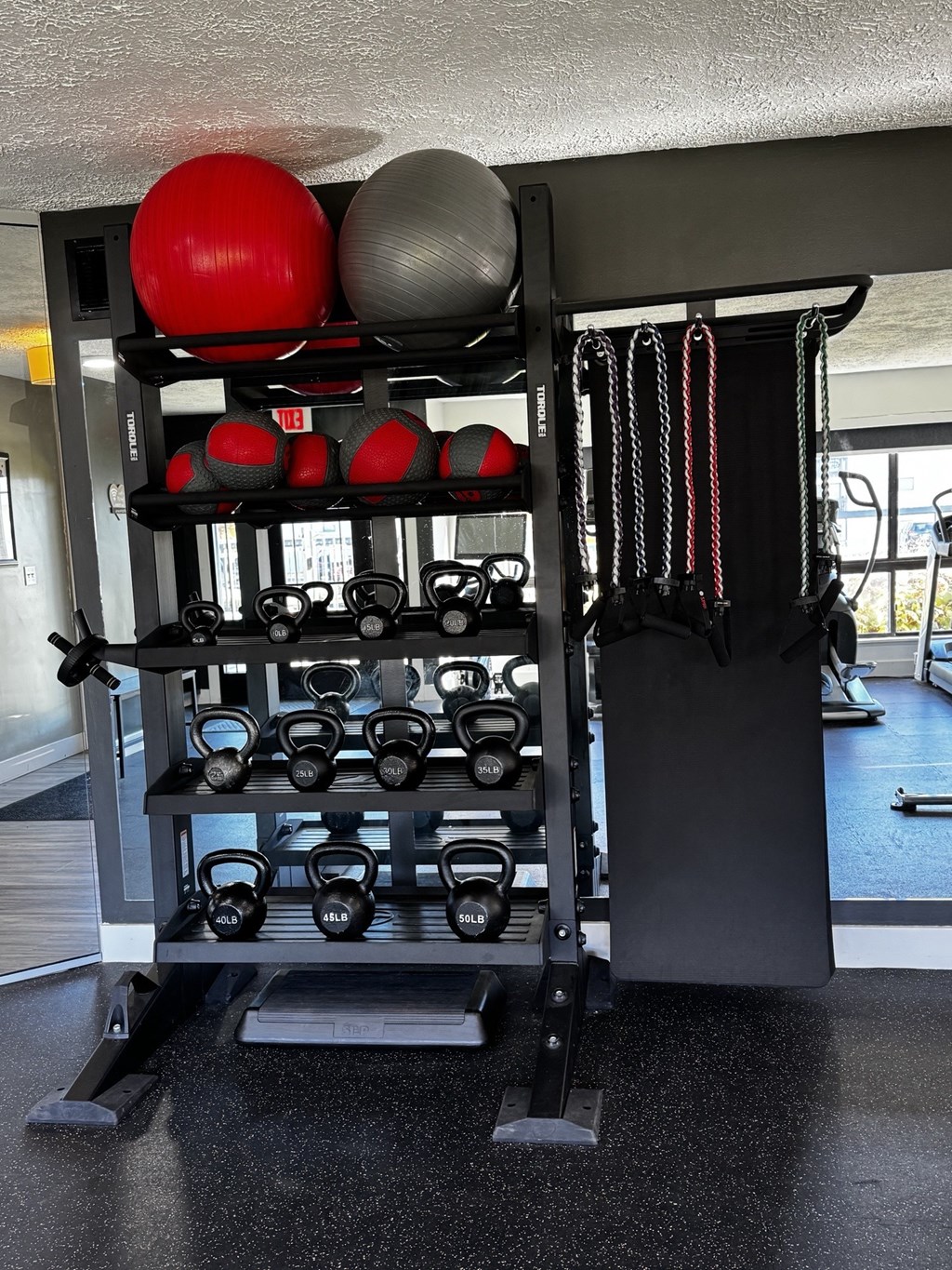 A black weight rack with red and black weights.