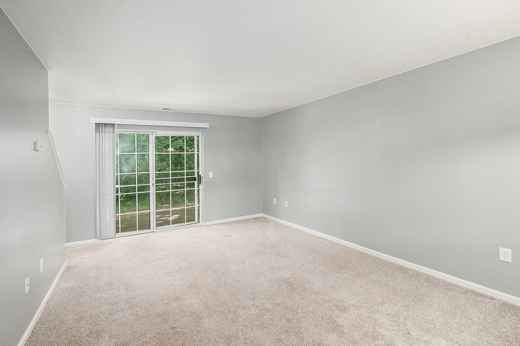 a bedroom with gray walls and white carpet