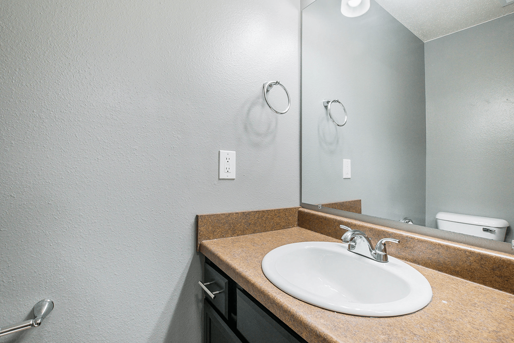 a bathroom with a sink and a mirror