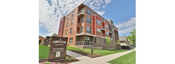 Modern - 1 Bedroom 1 Bath