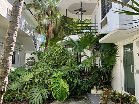 a view of the entrance to the apartment building