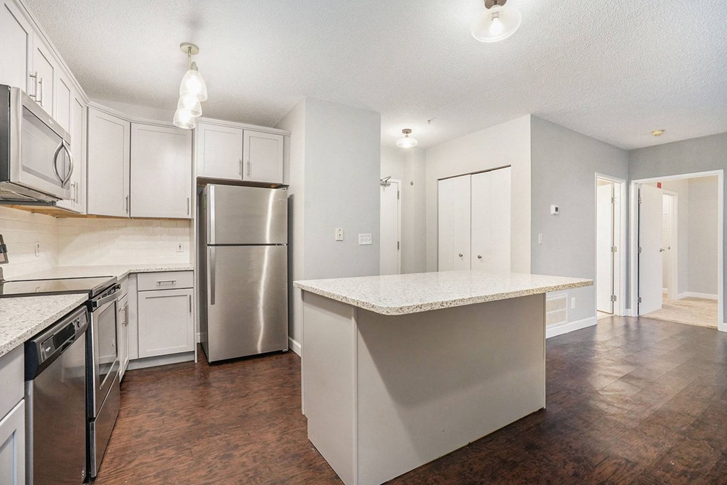 The Lofts Apartments In Grand Rapids, MI Marble Countertop Kitchen and Hardwood Floors