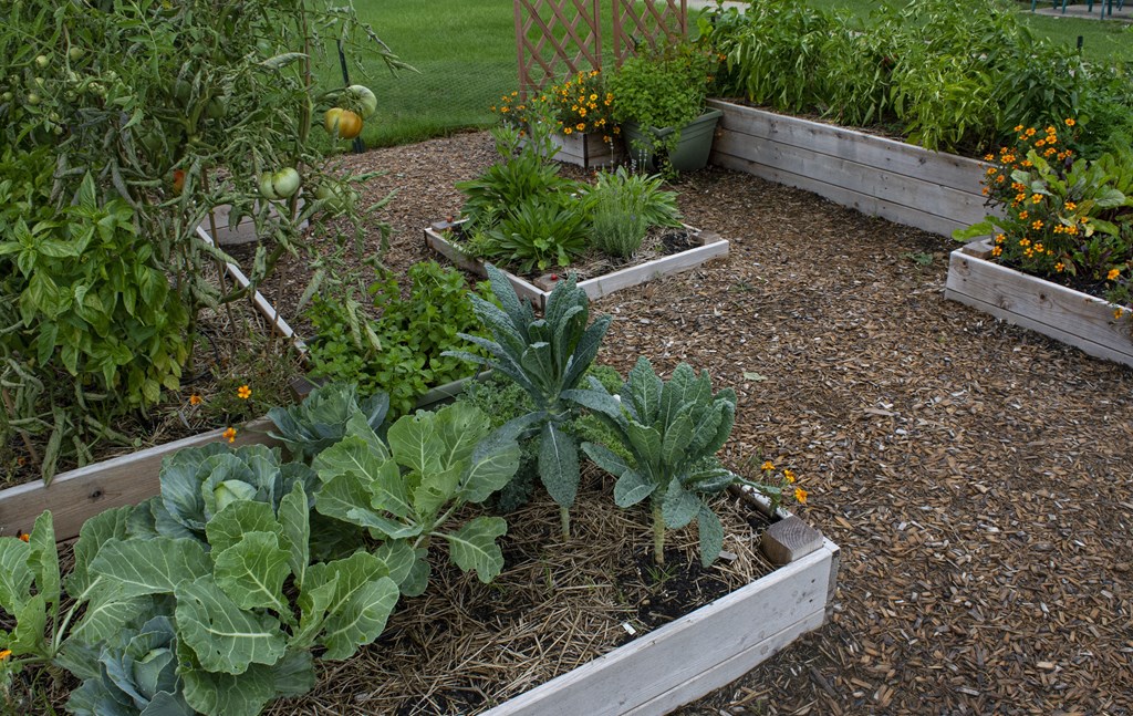 Windridge Apartment Garden Boxes