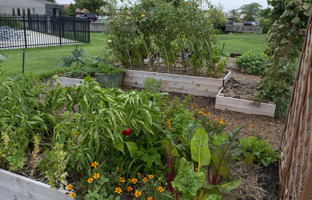 Windridge Apartment Garden