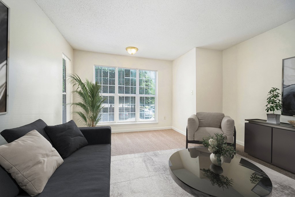 a living room with a couch and a coffee table