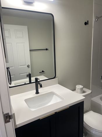 A white sink in a bathroom with a black cabinet.