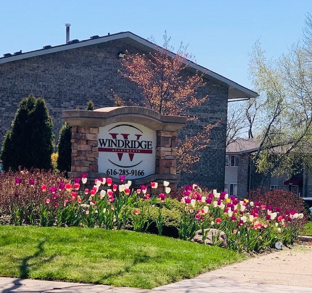 Windridge Entrance Sign Tulips