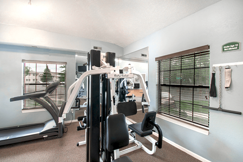 the gym at the enclave at woodbridge apartments in sugar land, tx