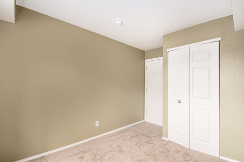a bedroom with two closets and a carpeted floor