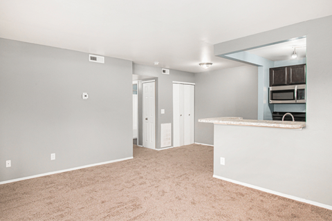 a spacious living room with a kitchen in the background