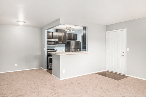 a living room with a kitchen in the background