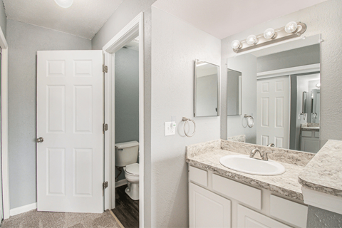 a bathroom with a toilet and a sink