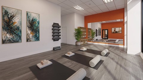 A yoga studio with a mirror, a potted plant, and two paintings on the wall.