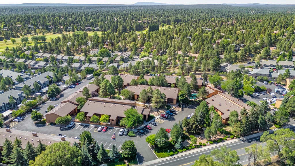 A bird's eye view of a residential area with houses and trees.
