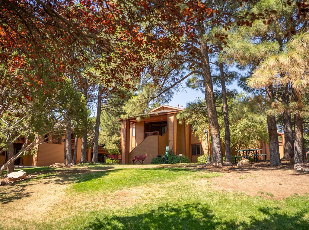 A house surrounded by trees with red leaves.
