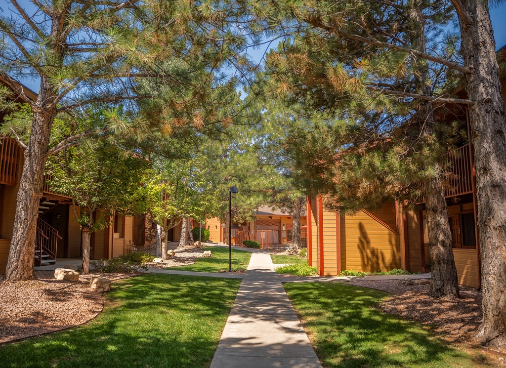 A tree-lined walkway leads to a series of buildings.