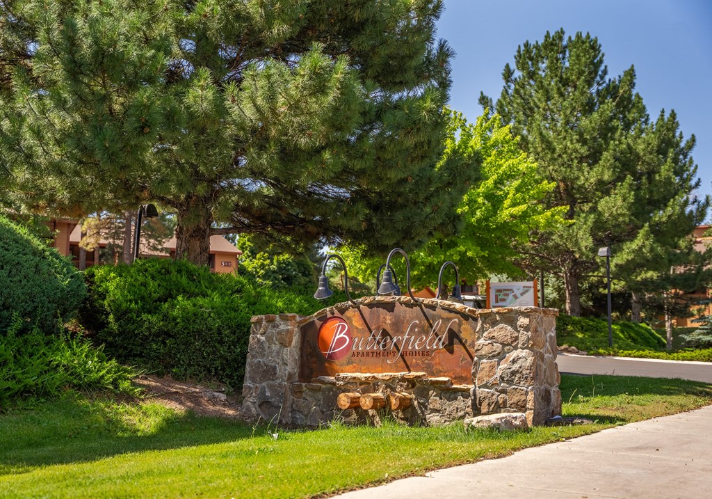 A sign that says "Bearcreek" is in front of a pine tree.